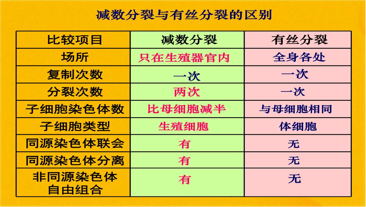 减数分裂和受精作用优质课件(共56张PPT)PPT模板_45