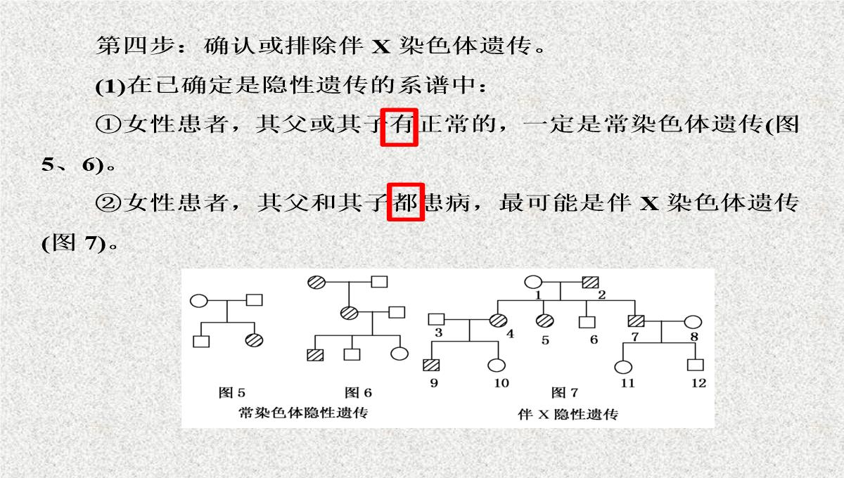 2015届高考生物(人教版通用)总复习教学课件：第17讲-基因在染色体上和伴性遗传PPT模板_31