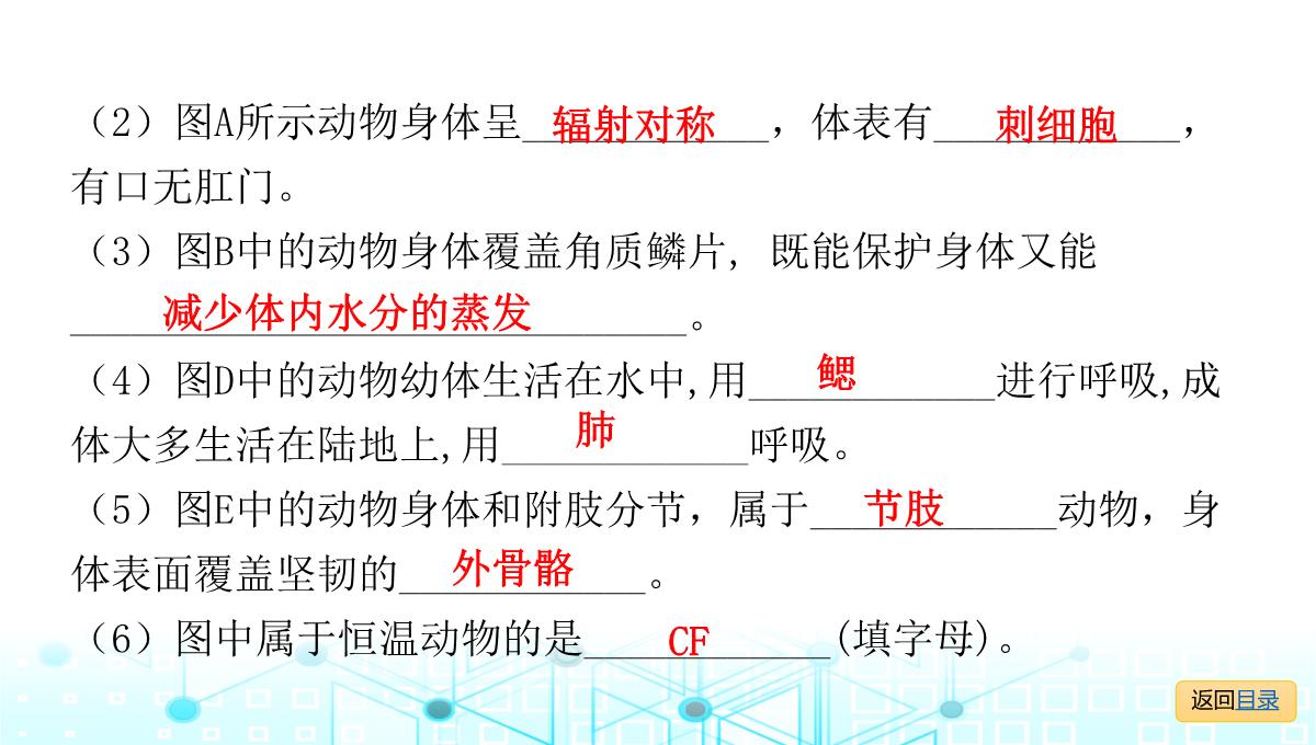 2022年人教版中考生物复习专题七--生物的多样性PPT模板_32