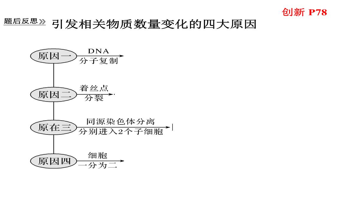 高三一轮复习生物课件：第11讲减数分裂和受精作用PPT模板_25