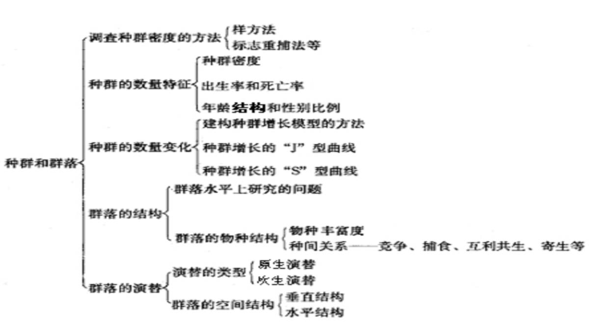 高二生物生物群落的演替4PPT模板_09