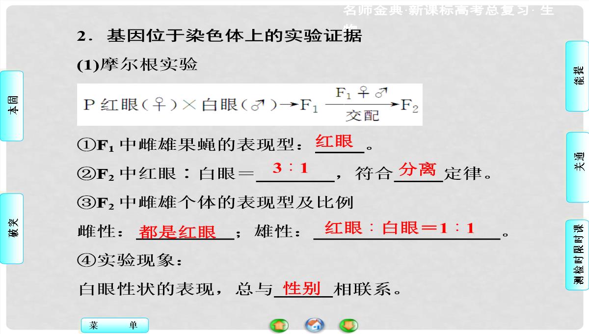 高考生物总复习-第1单元-第3讲-基因在染色体上和伴性遗传课件-新人教版必修2PPT模板_03