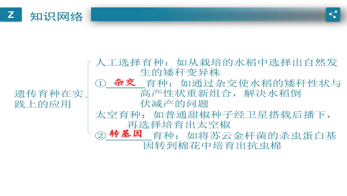 广东中考生物一轮复习课件：第六章-考点12-遗传育种在实践上的应用PPT模板_02