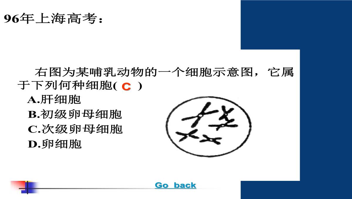 减数分裂和受精作用PPT模板_152