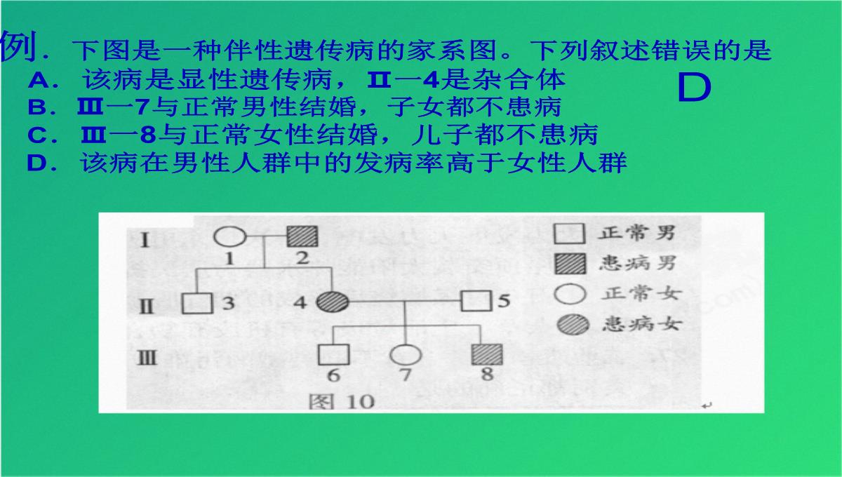 高三人教伴性遗传(共47张PPT)PPT模板_23