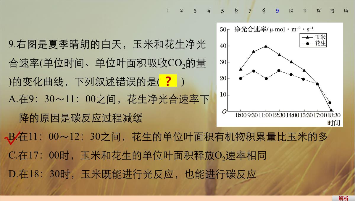 最新-2021版浙江省高考生物课件：第2单元-第10讲-光合作用的影响因素及应用-精品PPT模板_83