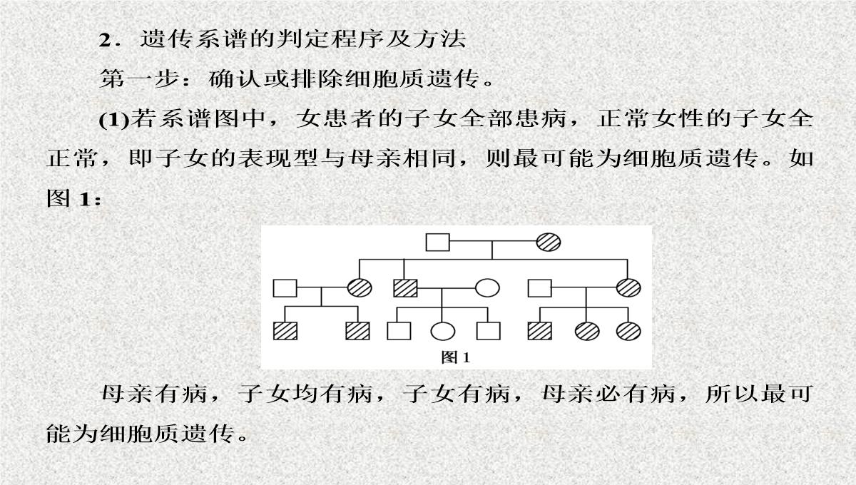 2015届高考生物(人教版通用)总复习教学课件：第17讲-基因在染色体上和伴性遗传PPT模板_28