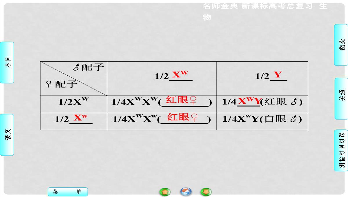 高考生物总复习-第1单元-第3讲-基因在染色体上和伴性遗传课件-新人教版必修2PPT模板_05