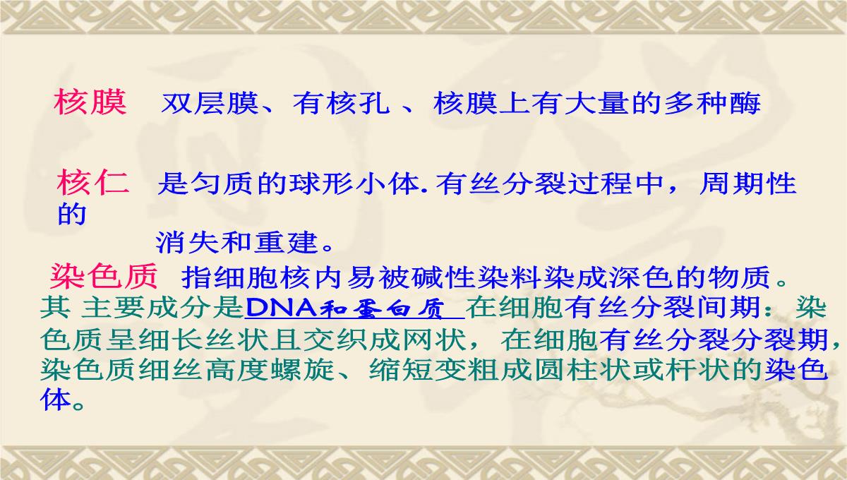 08年河南地区高二生物细胞核的结构和功能资料课件PPT模板_04