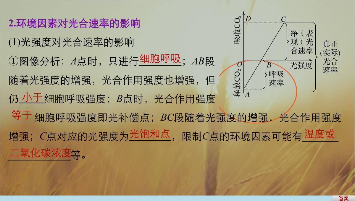 最新-2021版浙江省高考生物课件：第2单元-第10讲-光合作用的影响因素及应用-精品PPT模板_06