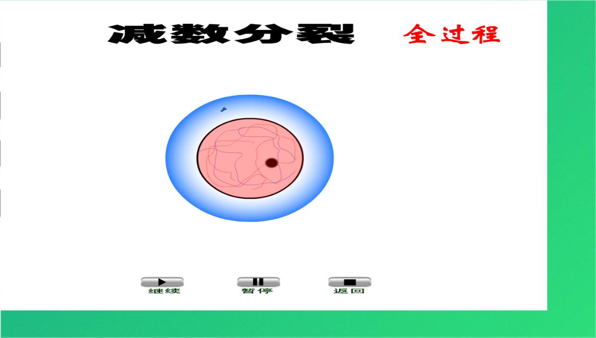 高减数分裂和受精作用(共69张PPT)PPT模板_41