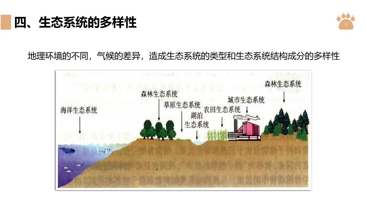 《认识生物的多样性》PPT精品课件PPT模板_15