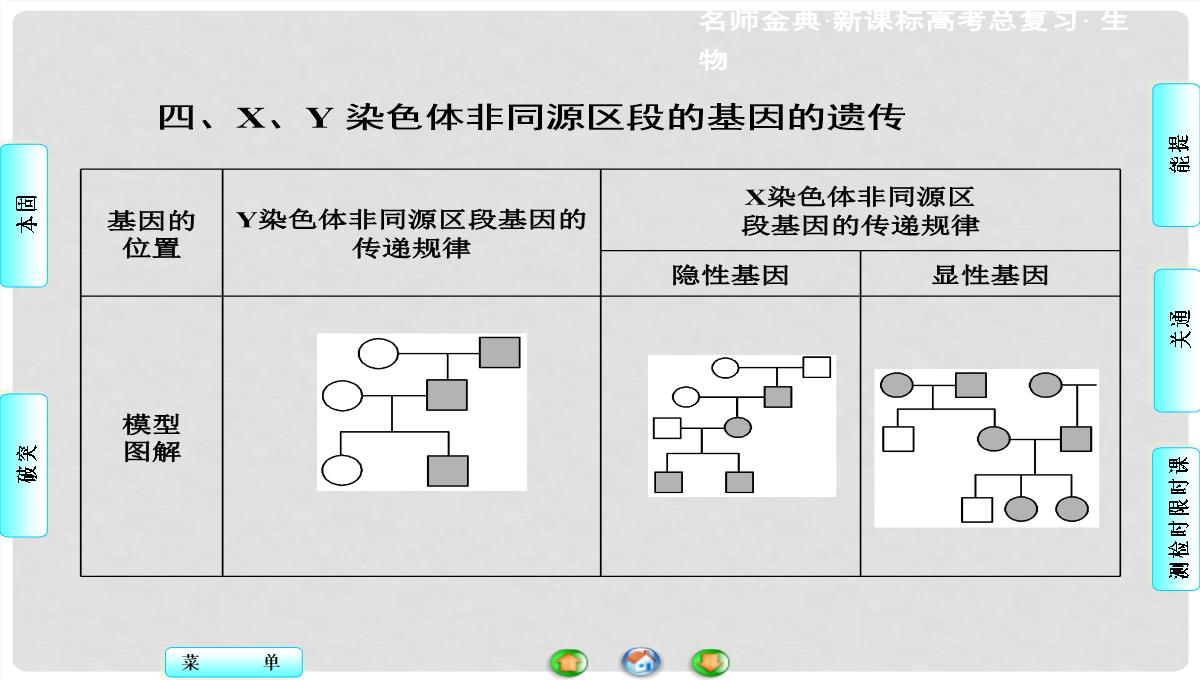 高考生物总复习-第1单元-第3讲-基因在染色体上和伴性遗传课件-新人教版必修2PPT模板_34