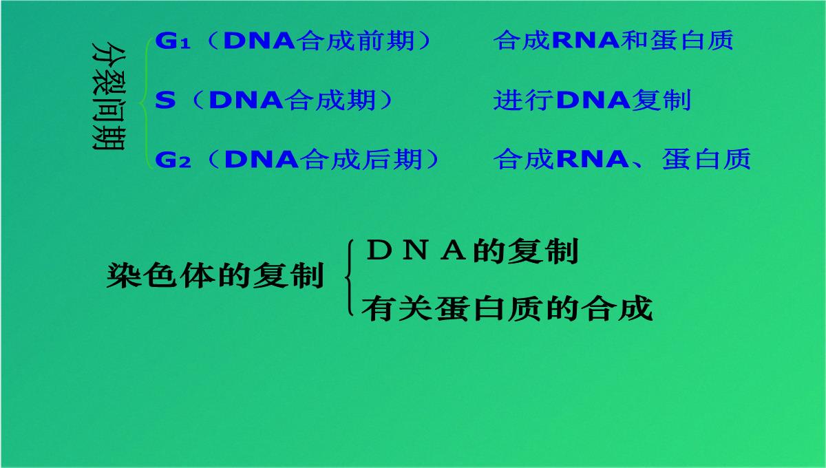 高减数分裂和受精作用(共69张PPT)PPT模板_02