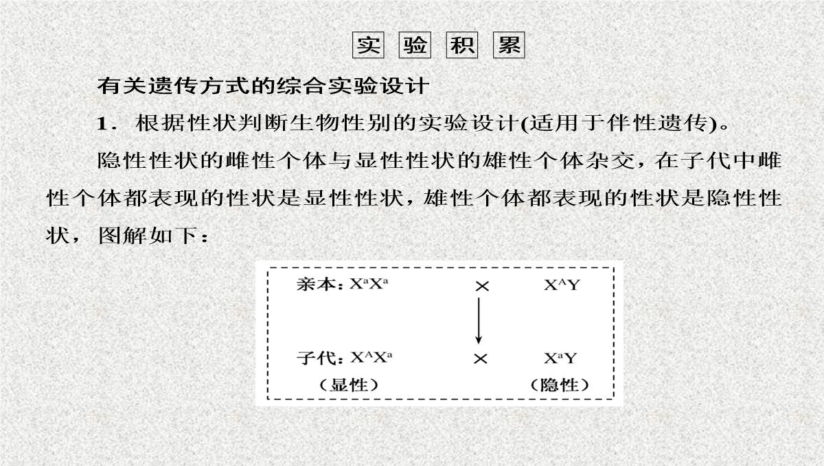 2015届高考生物(人教版通用)总复习教学课件：第17讲-基因在染色体上和伴性遗传PPT模板_49