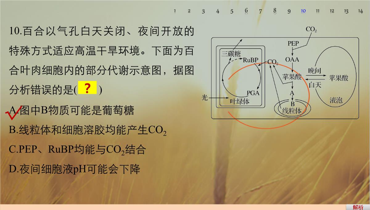 最新-2021版浙江省高考生物课件：第2单元-第10讲-光合作用的影响因素及应用-精品PPT模板_85