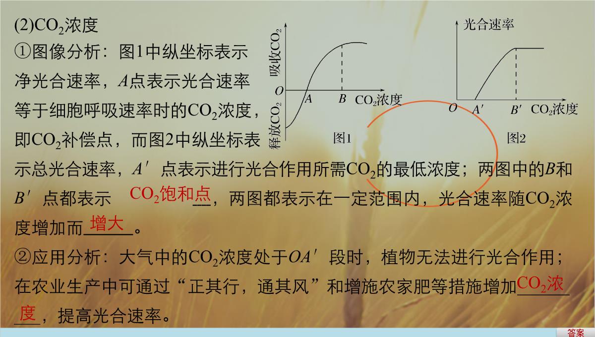 最新-2021版浙江省高考生物课件：第2单元-第10讲-光合作用的影响因素及应用-精品PPT模板_08