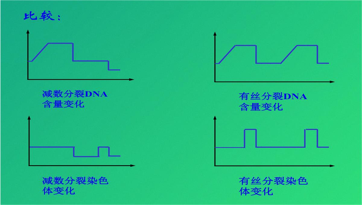 高减数分裂和受精作用(共69张PPT)PPT模板_49