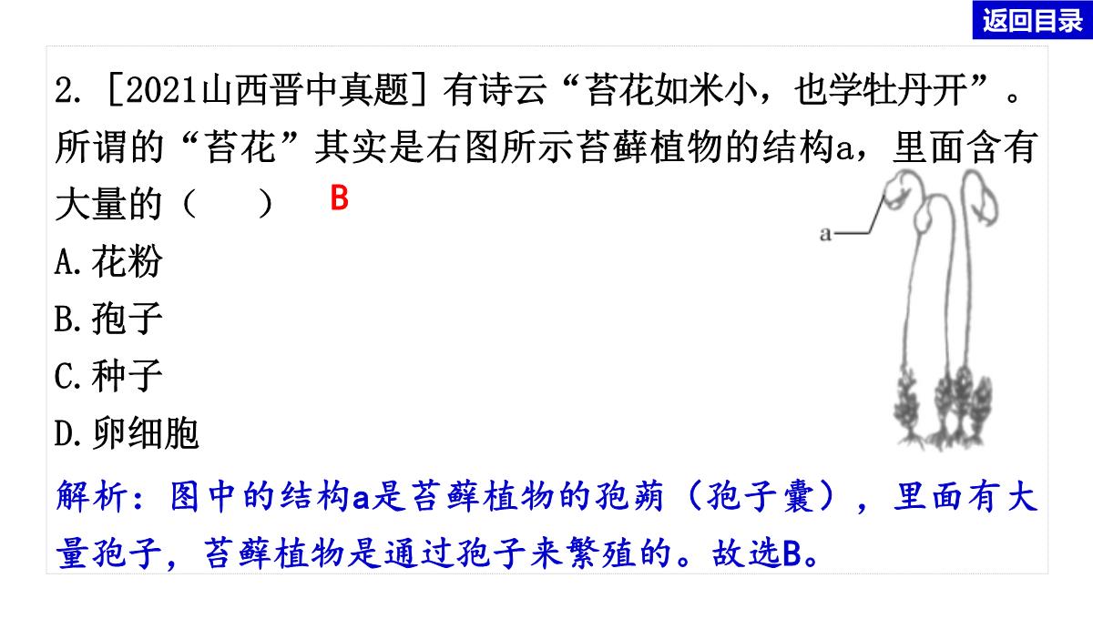 2022年中考生物总复习主题七生物的多样性-专题一生物圈中有哪些绿色植物PPT模板_18