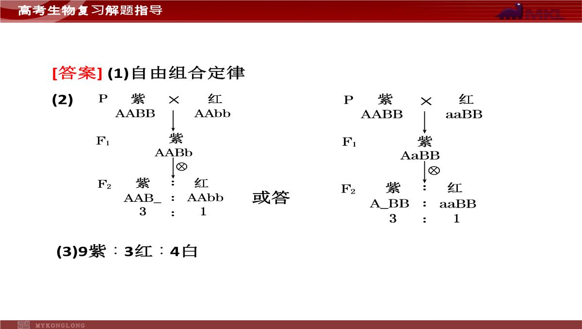 高考专题复习专题4---第3讲--遗传的基因规律、伴性遗传及人类遗传病与优生PPT模板_38