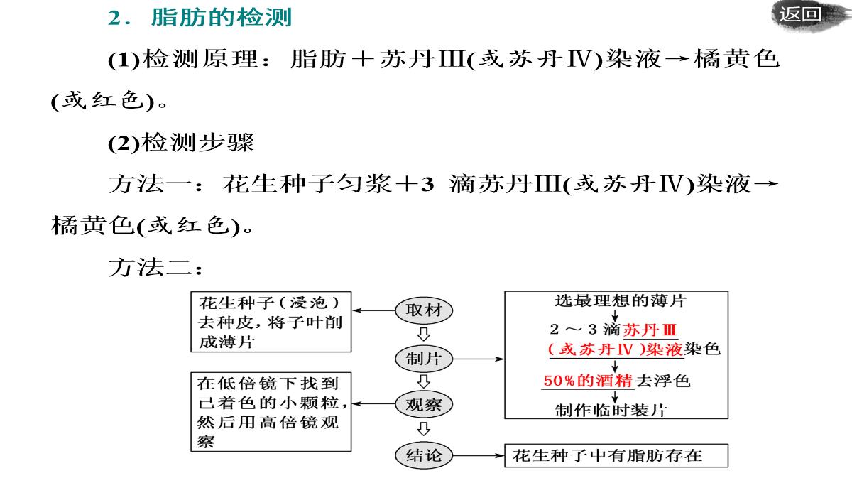 第二讲-组成细胞的元素及无机化合物PPT模板_36