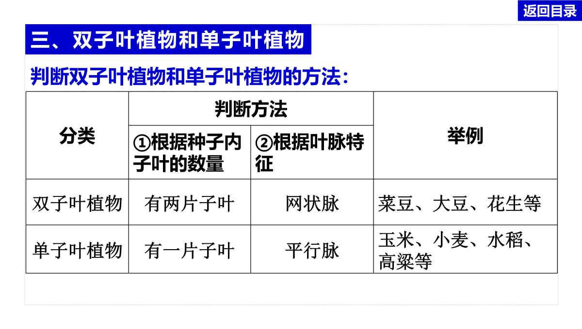 2022年中考生物总复习主题七生物的多样性-专题一生物圈中有哪些绿色植物PPT模板_14