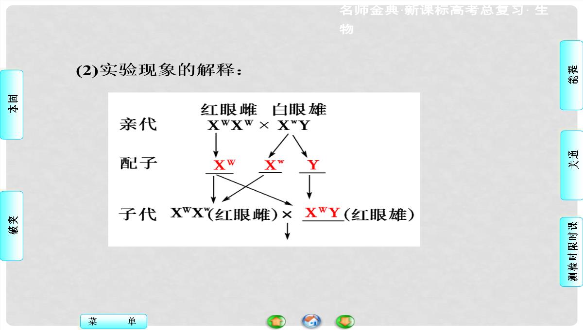 高考生物总复习-第1单元-第3讲-基因在染色体上和伴性遗传课件-新人教版必修2PPT模板_04