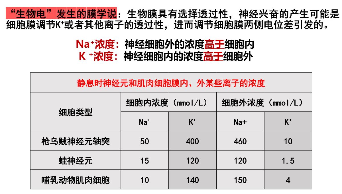 神经冲动的产生和传导课件2021-2022学年高二上学期生物人教版选择性必修一PPT模板_08