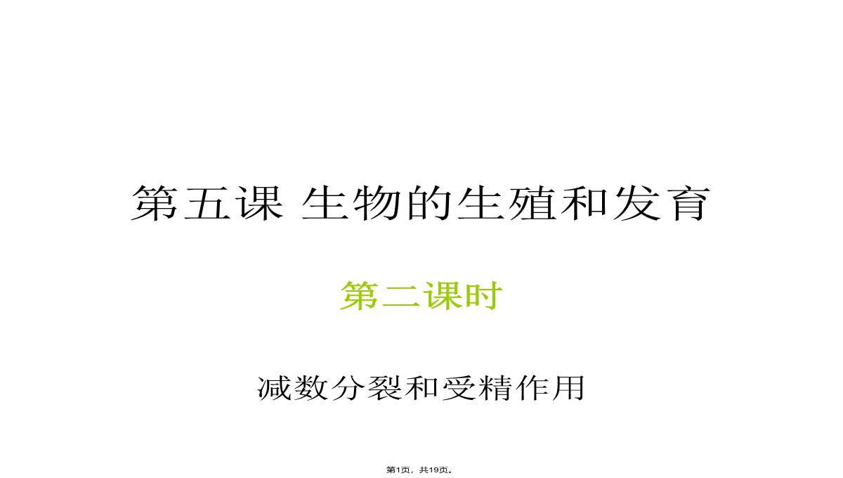 09届高三生物减数分裂和受精作用PPT模板