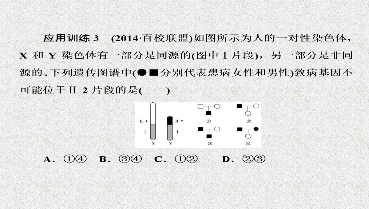 2015届高考生物(人教版通用)总复习教学课件：第17讲-基因在染色体上和伴性遗传PPT模板_36