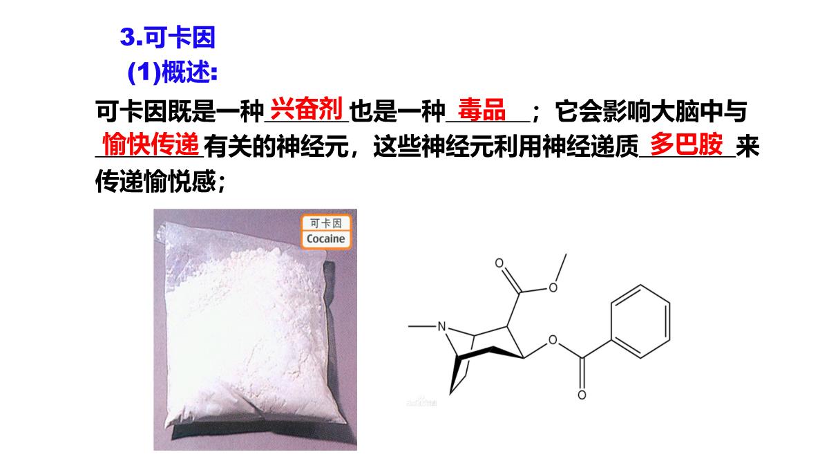 神经冲动的产生和传导课件2021-2022学年高二上学期生物人教版选择性必修一PPT模板_31