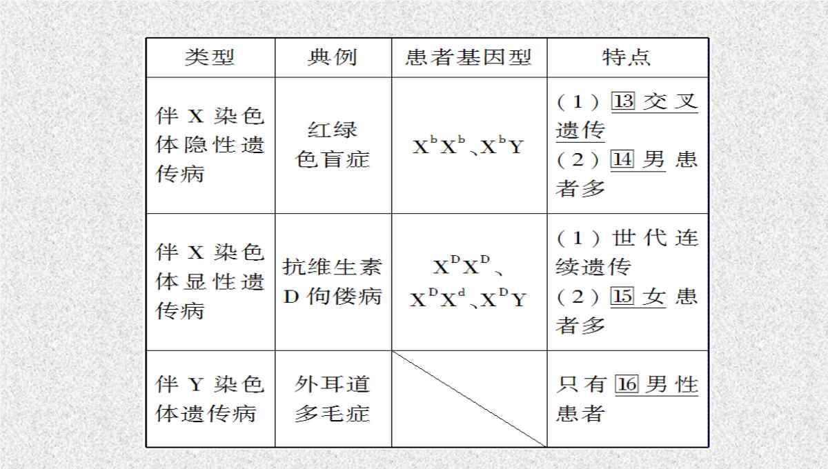 2015届高考生物(人教版通用)总复习教学课件：第17讲-基因在染色体上和伴性遗传PPT模板_11