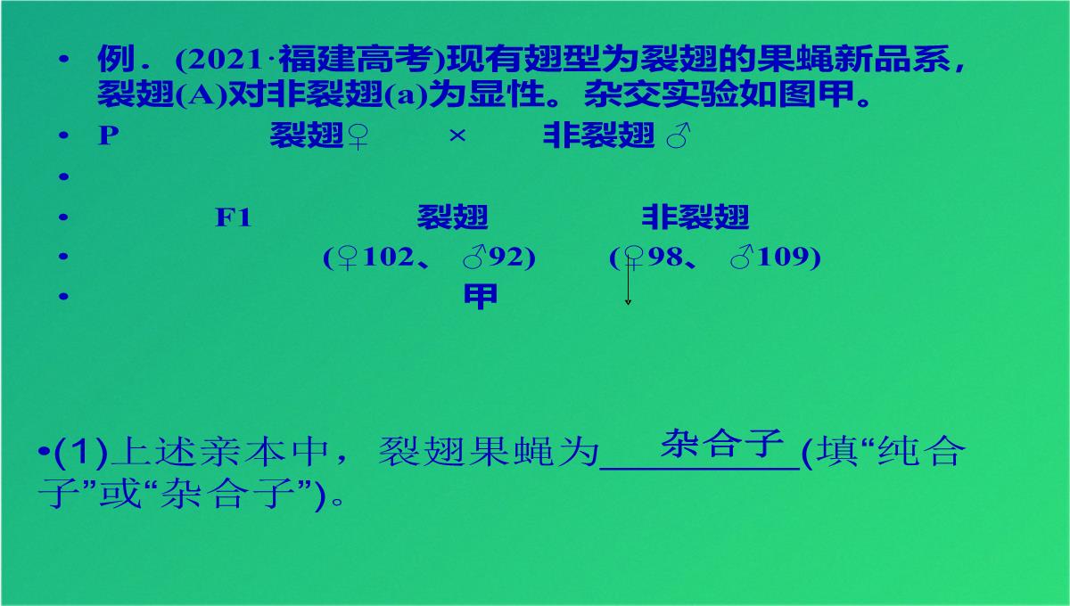 高三人教伴性遗传(共47张PPT)PPT模板_45