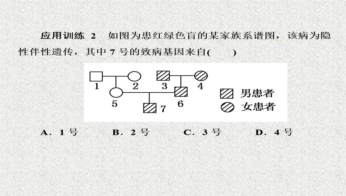 2015届高考生物(人教版通用)总复习教学课件：第17讲-基因在染色体上和伴性遗传PPT模板_25