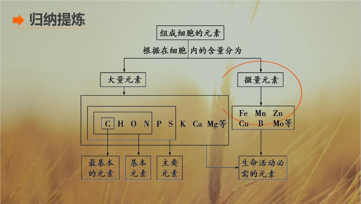 最新-2021生物北师大版必修1课件：第2章-第3课时-组成细胞的元素-精品PPT模板_20