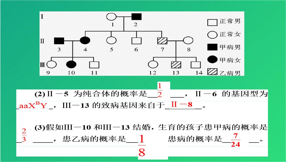 高三人教伴性遗传(共47张PPT)PPT模板_38