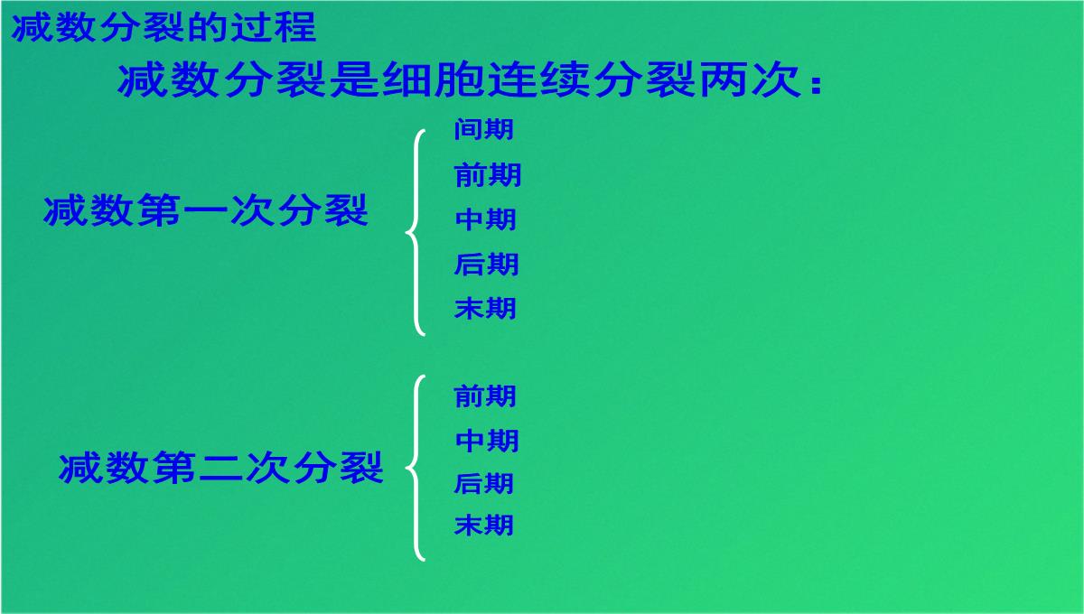 高减数分裂和受精作用(共69张PPT)PPT模板_20