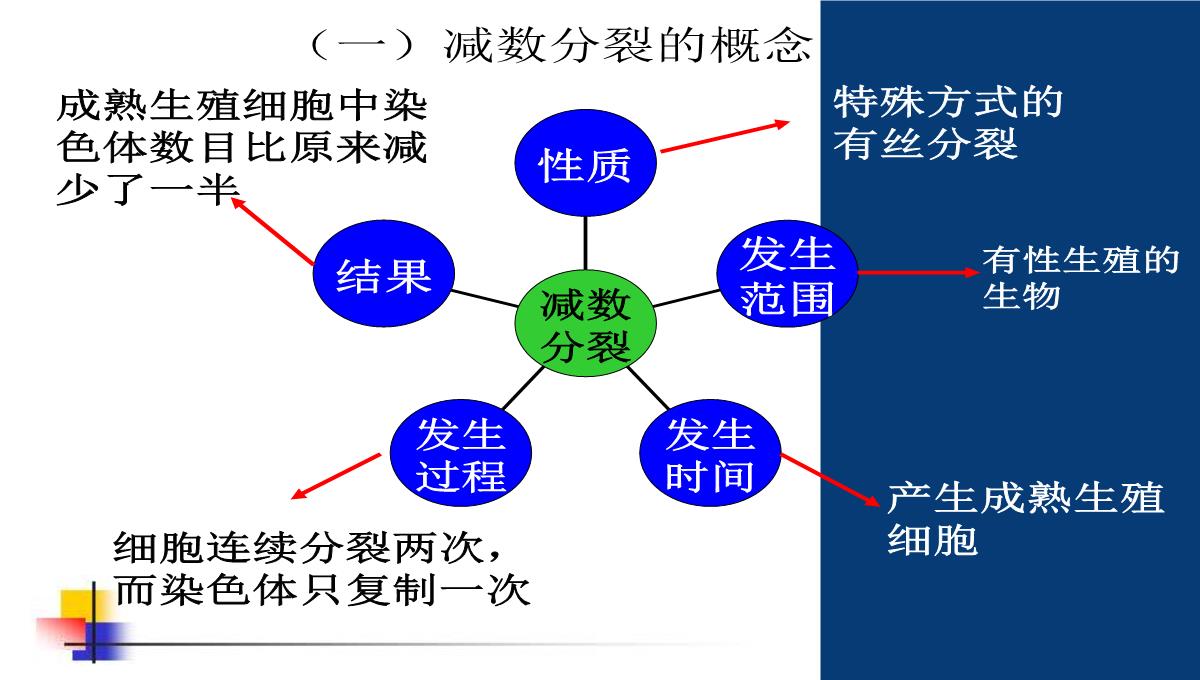 减数分裂和受精作用PPT模板_05