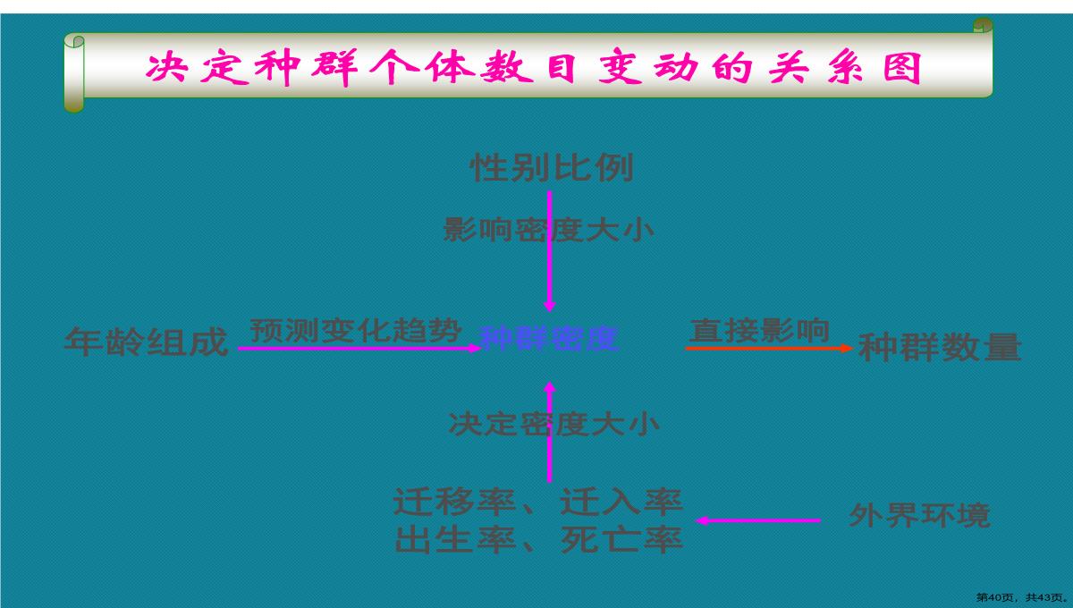 第一节高二生物种群的特征演示文稿PPT模板_40