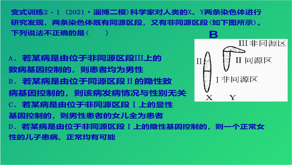 高三人教伴性遗传(共47张PPT)PPT模板_26