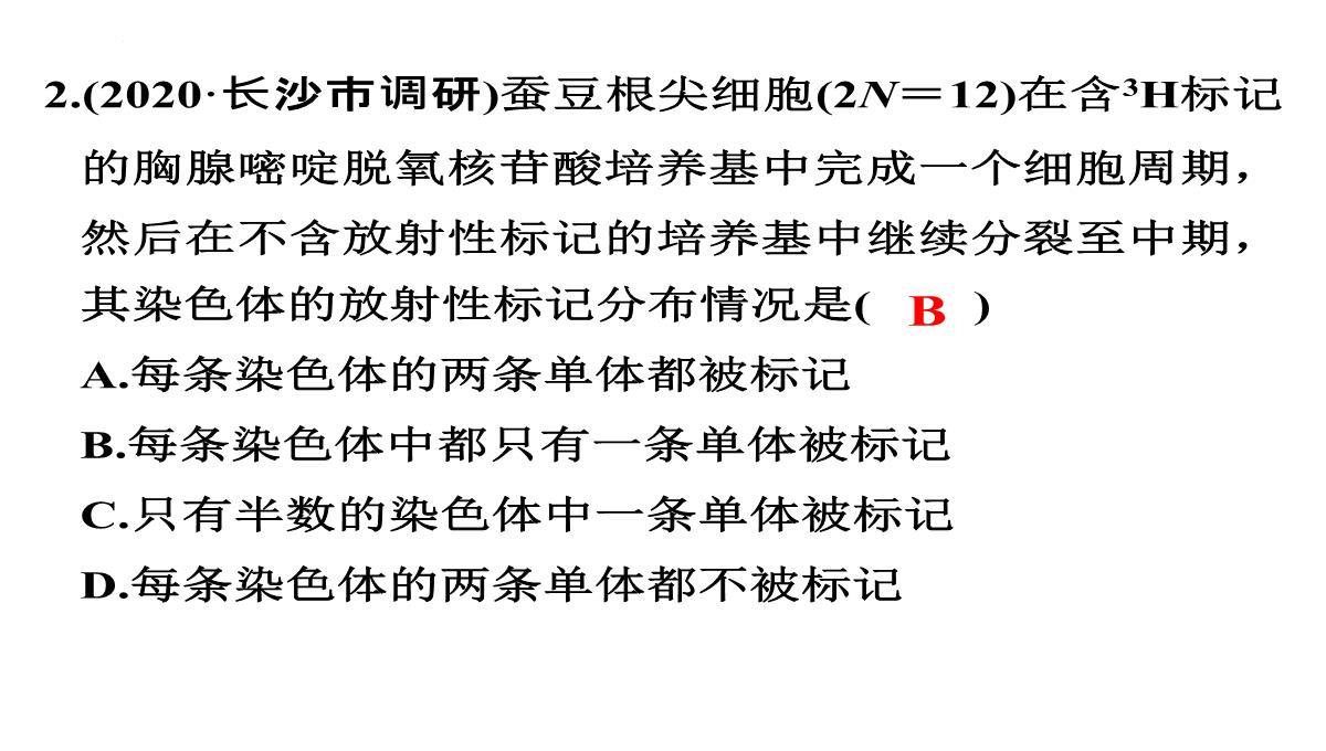 高三一轮复习生物课件：第11讲减数分裂和受精作用PPT模板_52