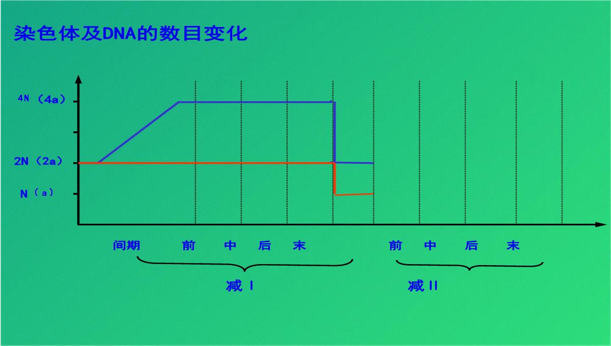 高减数分裂和受精作用(共69张PPT)PPT模板_34