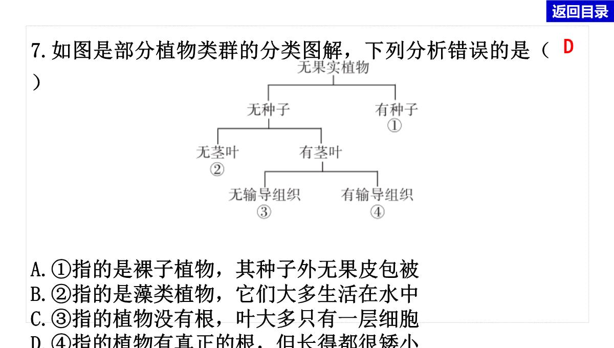 2022年中考生物总复习主题七生物的多样性-专题一生物圈中有哪些绿色植物PPT模板_24