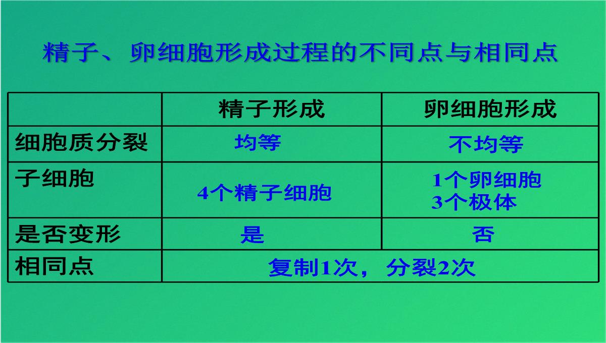 高减数分裂和受精作用(共69张PPT)PPT模板_47