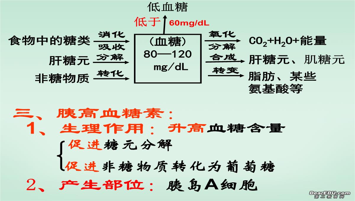 浙江省富阳市教研活动课高二生物动物激素的调节课件-新课标-人教版PPT模板_14