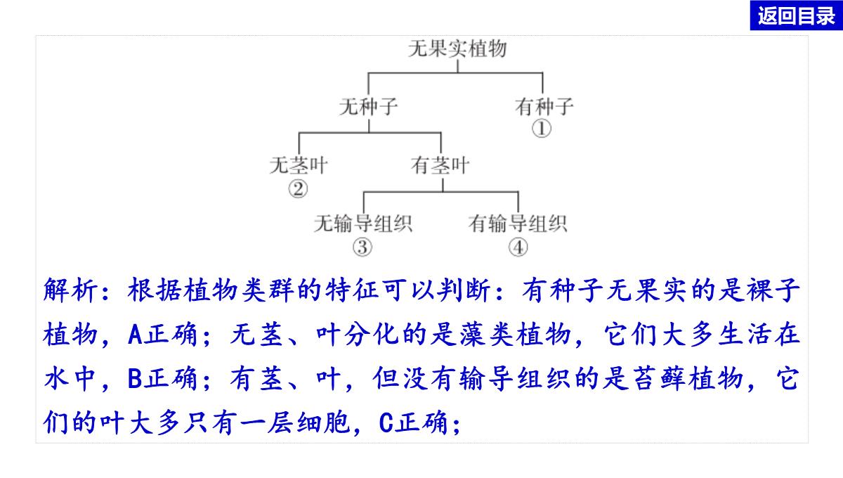 2022年中考生物总复习主题七生物的多样性-专题一生物圈中有哪些绿色植物PPT模板_25