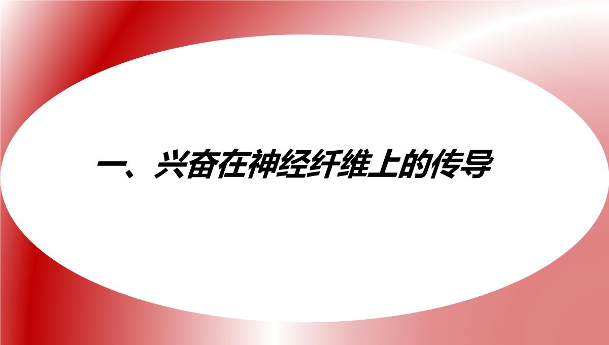 神经冲动的产生和传导课件2021-2022学年高二上学期生物人教版选择性必修一PPT模板_03