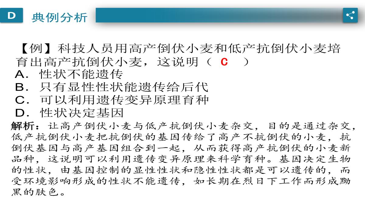 广东中考生物一轮复习课件：第六章-考点12-遗传育种在实践上的应用PPT模板_03