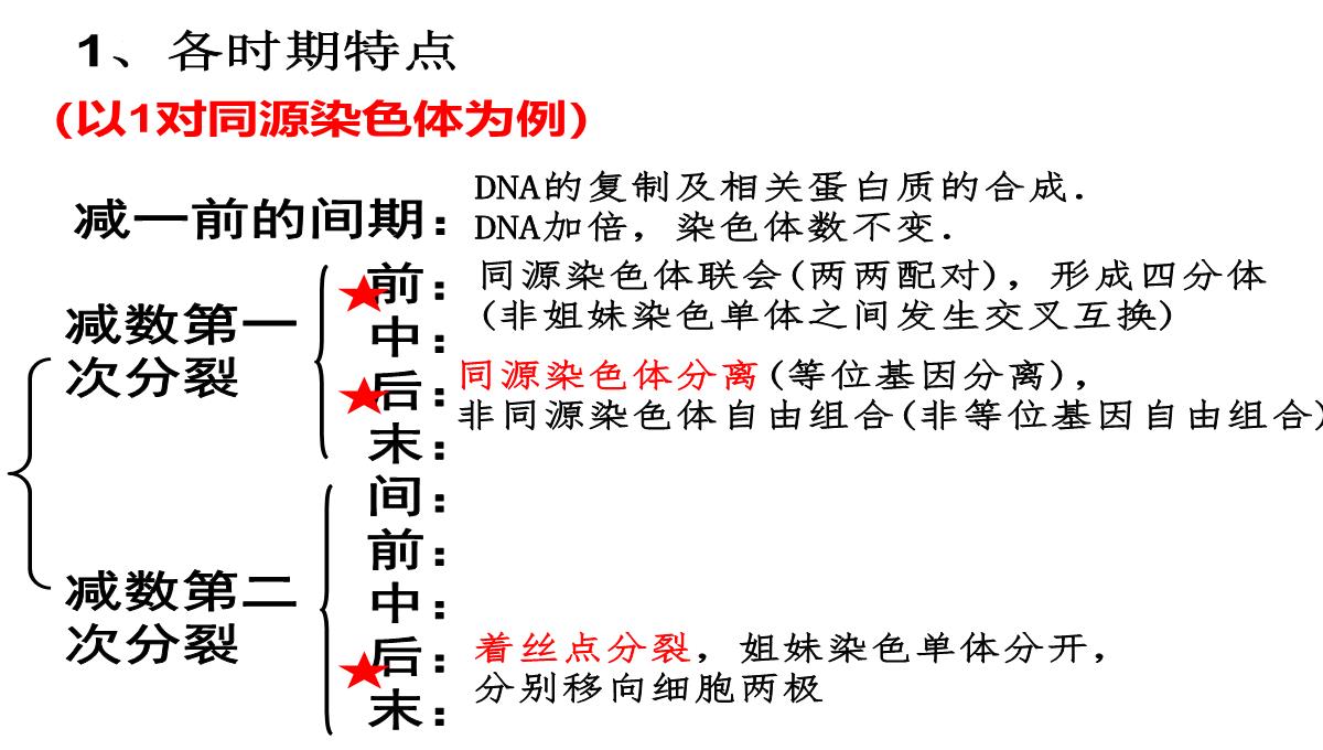 高三一轮复习生物课件：第11讲减数分裂和受精作用PPT模板_06