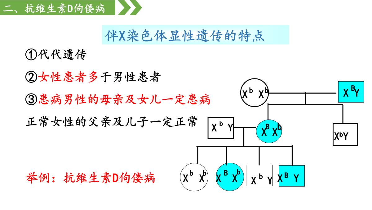 伴性遗传课件高一下学期生物人教版必修2PPT模板_31